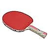 GKI Kung Fu-DX Table Tennis Racquet